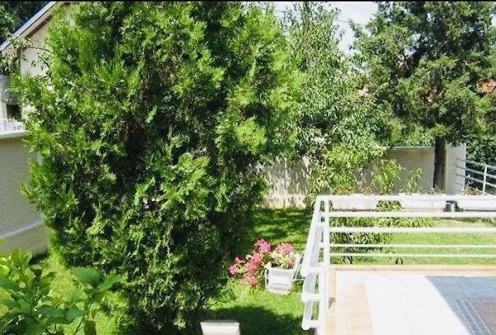 An Excellent House For Rent In Quiet Area